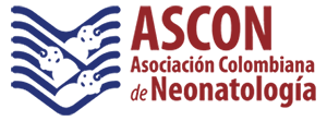 logo ascon 300